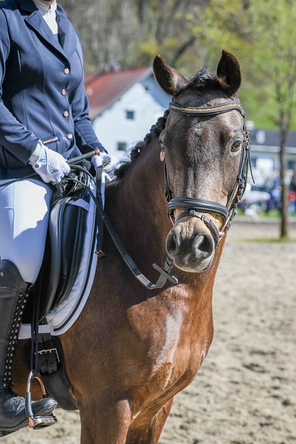 哈兰德的牺牲：曼城3-2绝杀利兹联，他全场仅1射门的背后意义